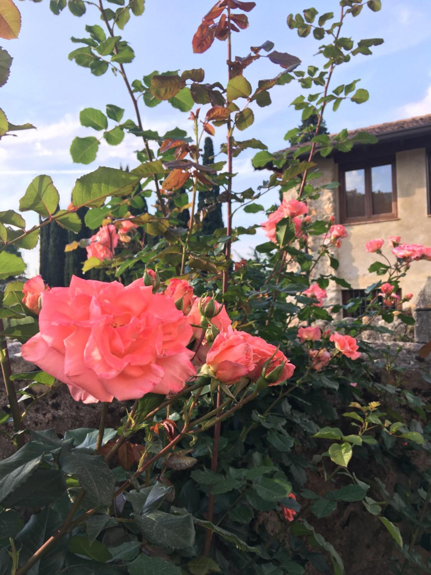 Agriturismo Val Costermano Eksteriør billede