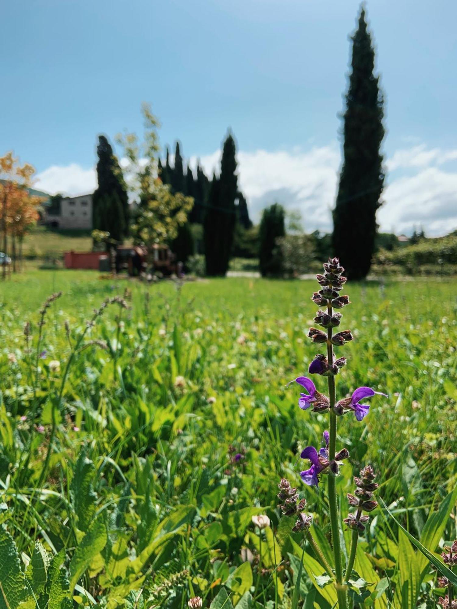 Agriturismo Val Costermano Eksteriør billede