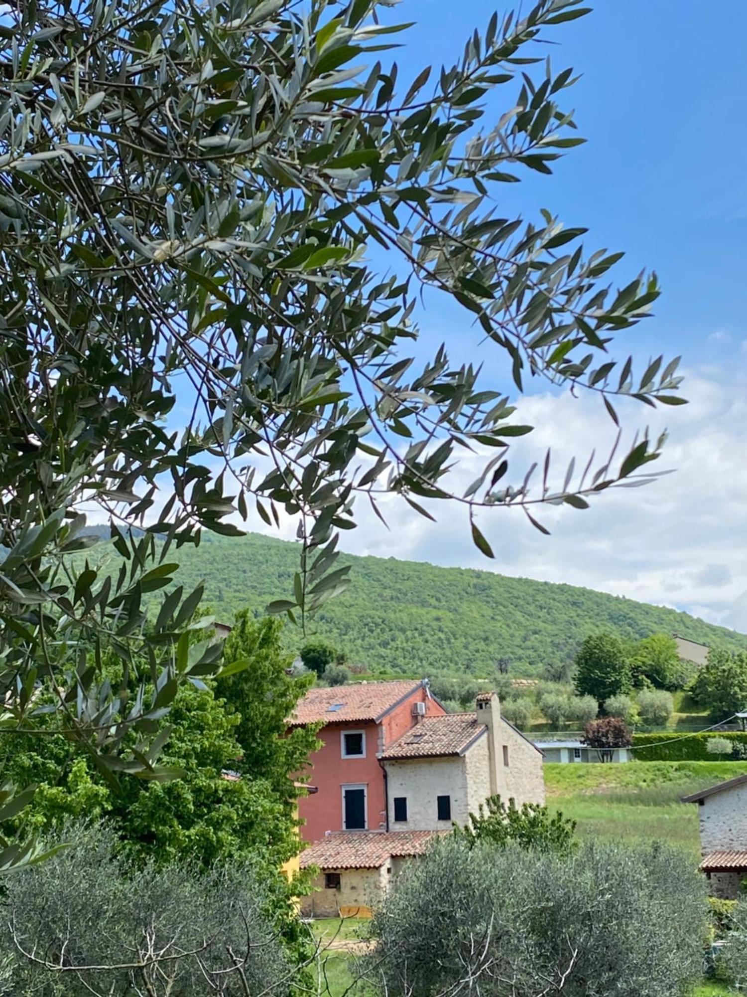 Agriturismo Val Costermano Eksteriør billede